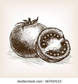 Tomato sketch style  vector illustration. Old hand drawn engraving imitation. Vegetable illustration