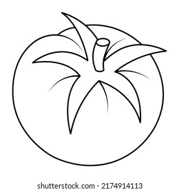 Tomato. Sketch. Vector illustration. Coloring book for kids. Doodle style. Outline on an isolated background. Vegetable culture of the Solanaceae genus. Vegan food. A healthy vegetable with a stalk. 