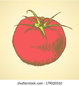 Tomato sketch, vector vintage background