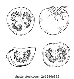 Tomato with slice of tomato in the form of a sketch. A set of black and white vector illustrations. Ripe cherry tomato, on a white background. Fresh organic vegetables, healthy harvest, ink drawing. 