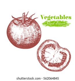 Tomato and Slice Hand Draw Sketch Organic Food Can Be Used For Restaurant Menu. Vector illustration