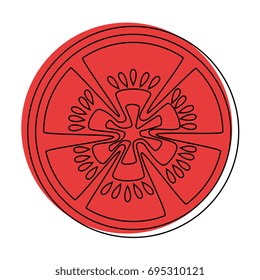 tomato slice icon