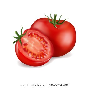 Tomato and slice isolated on white photo-realistic vector illustration. 3d game icon. Vegetarian food