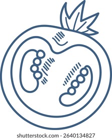 A tomato slice with seeds and leaves in a bold line art style. The illustration captures the tomato's interior details with simple outlines. Cartoon vector illustration.