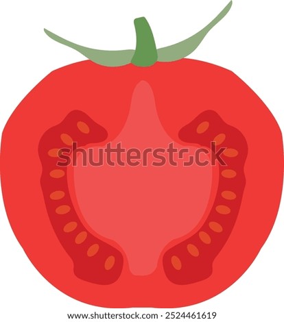 Tomato slice with seeds, top view,  Flat vector illustration.