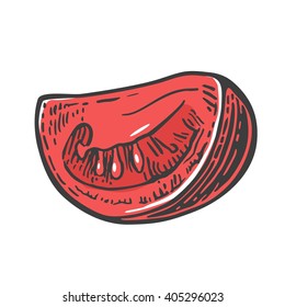 Tomato slice. Vector engraved illustration isolated on white background.