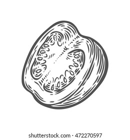 Tomato slice vector. Isolated on white background. Tomato food ingredient. Engraved hand drawn illustration in retro vintage style. Organic Food, sauce, dishes component