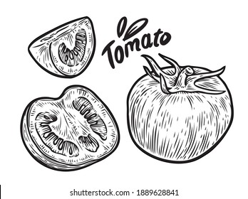 Tomato And Slice. Vegetables Sketch Vector Illustration