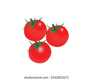 El tomate, Solanum lycopersicum, es una planta cuyo fruto es una baya comestible que se come como verdura. El tomate es un miembro de la familia de la sombra nocturna que incluye el tabaco, la papa y la guindilla