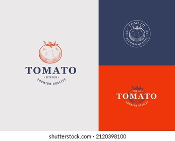Tomato spice Hand Draw Logo Template with Premium Vintage Typography. Stylish Vintage Vector Emblem Concept.