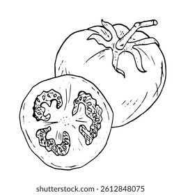 Tomato with a sprig and a slice in the form of a sketch. Black and white vector illustration. Ripe cherry tomato, on a white background. Fresh whole tomato vegetables, healthy harvest, ink drawing. 