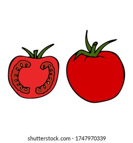 Tomato with stem and leaf. Hand drawn outline doodle icon. Colorful isolated on white background. Vector illustration for greeting cards, posters, patches, prints for clothes, emblems.