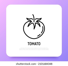 Tomate-Dünne-Linie-Symbol Vegetarisches Bio-gesundes Essen. Vektorgrafik.