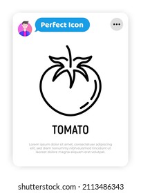 Tomate-Dünne-Linie-Symbol Vegetarisches Bio-gesundes Essen. Vektorgrafik.