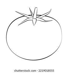 Tomato in a thin line. Vector on a white background.