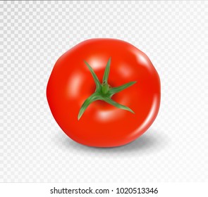 Tomato top side. Realistic vector. Red tomato 