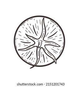 Tomato top view hand drawn engraving vector illustration. Black sketch single tomato on white background. Vegetable healthy organic food