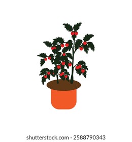 Tomato tree with vector of illustration