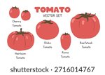 Tomato Types Flat Cartoon Vector Set Isolated on White Background. Globe, Cherry, Roma, Heirloom, and Beefsteak Tomato