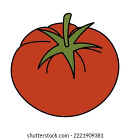 Tomato. A useful red vegetable with a plant stem. Color vector illustration. Cartoon style. Isolated background. Vegetable culture of the genus nightshade. Vegan food. Harvesting. 