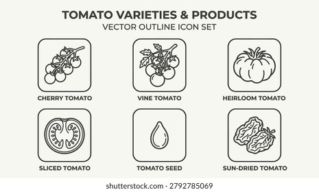 Tomato varieties icon set shows cherry vine heirloom sliced seed and sun dried for culinary purposes