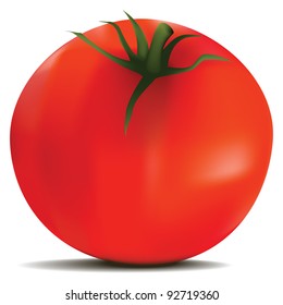 Tomato in vector