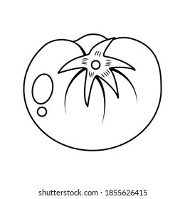 vector de tomate. icono de contorno negro. para logotipos, iconos, símbolos y aprendizaje del color