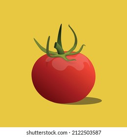 Tomato vector design, tomato illustration, Vegetable vector