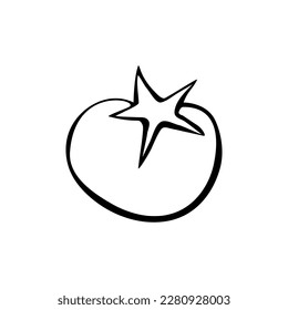 Tomato vector drawing icon. Simple clip art of fruit in doodle style, outline illustration of farm product