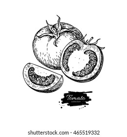 Tomatenvektorzeichnung. Tomate einzeln und geschnittenes Stück. Gemüseschrift mit Stilgravur. Detaillierte vegetarische Speisekarte. Agrarmarktprodukt.