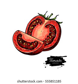 Tomato vector drawing. Isolated tomato and sliced piece. Vegetable artistic style illustration. Detailed vegetarian food sketch. Farm market product. Great for label, banner, poster