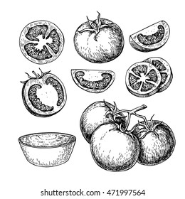 Tomato vector drawing set. Isolated tomato, sliced piece and tomato sauce. Vegetable engraved style illustration. Detailed vegetarian food sketch. Farm market product.