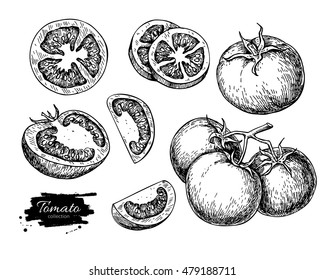 Tomato vector drawing set. Isolated tomato, sliced piece vegetables on branch. Engraved style illustration. Detailed vegetarian food sketch. Farm market product.