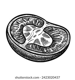 Dibujo vectorial de tomate. Esbozo con trozo de verdura en rodajas de estilo grabado. Ilustración detallada de la comida vegetariana pintada con tintas negras. Producto de mercado agrícola para etiqueta o icono.