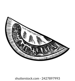 Tomato vector drawing. Sketch with sliced piece of vegetable in engraved style. Detailed illustration of vegetarian food painted by black inks. Farm market product for label or icon.
