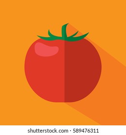 Tomato vector. Flat tomato