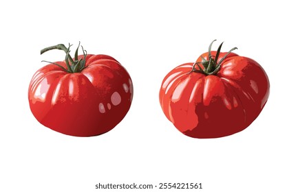 Tomato vector fresh isolated with white background.