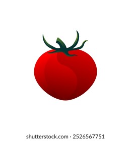 Tomato vector, fresh red tomato, red plant for food