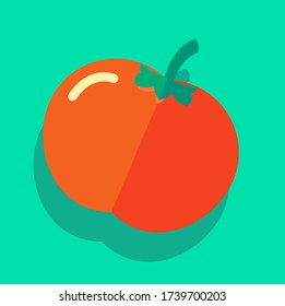 vectores de tomate, verduras frescas, alimentos rojos y saludables.