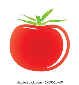 Tomato Vector fruit vegetable icon illustration
