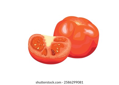 Tomato vector fruits for printing or web use