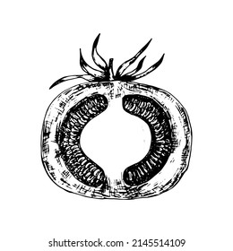 Esbozo grafico del vector del tomate. Tomate dibujado a mano en la sección Ilustración de lápiz de tinta