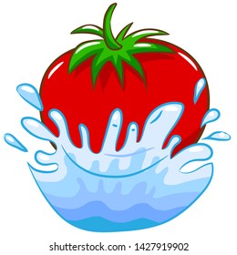 tomato vector graphic design clipart