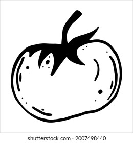 Tomato vector icon. Black outline of a garden vegetable. Isolated illustration on a white background. Food sketch. Hand-drawn doodle. Organic harvest. A whole cherry tomato with leaves. Monochrome.