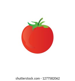 tomato vector illustration