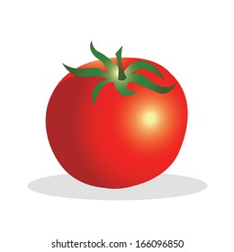 Tomato vector illustration.