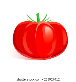 Tomato. Vector Illustration