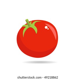 Tomato, vector illustration