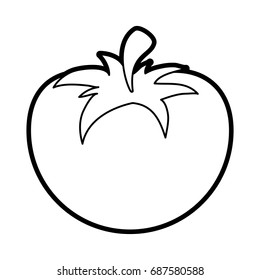 tomato vector illustration