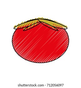 tomato  vector illustration